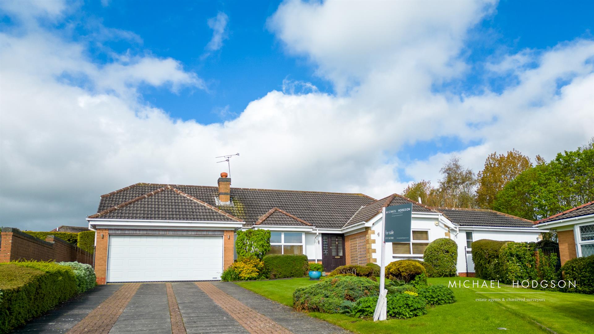 Shearwater, Whitburn, Sunderland Michael Hodgson