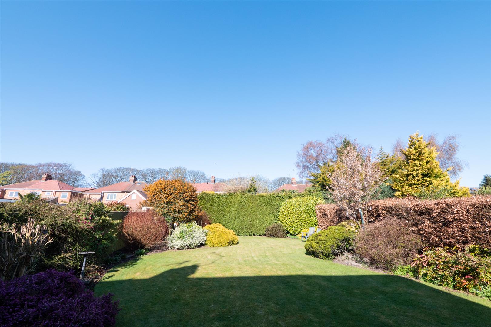 Meadow Lane, East Herrington, Sunderland Michael Hodgson